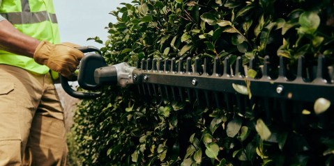 A person holding a hedge trimmer
