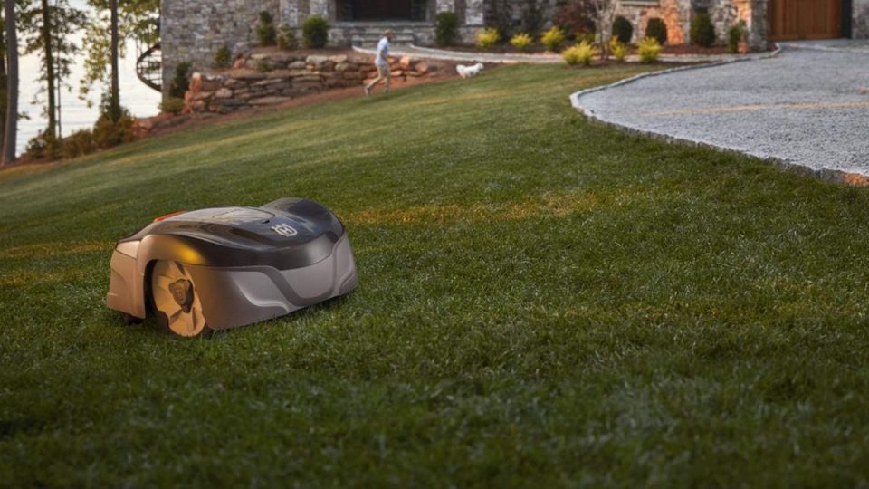 A robot on the grass