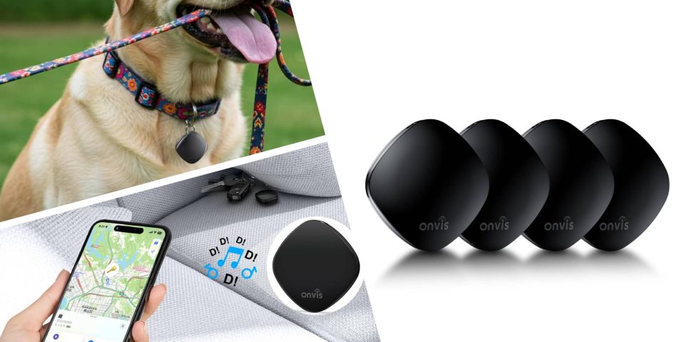A collage of a dog with a dog collar