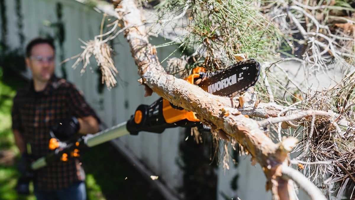 A person cutting a tree branch with a chainsaw