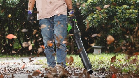 A person holding a leaf blower