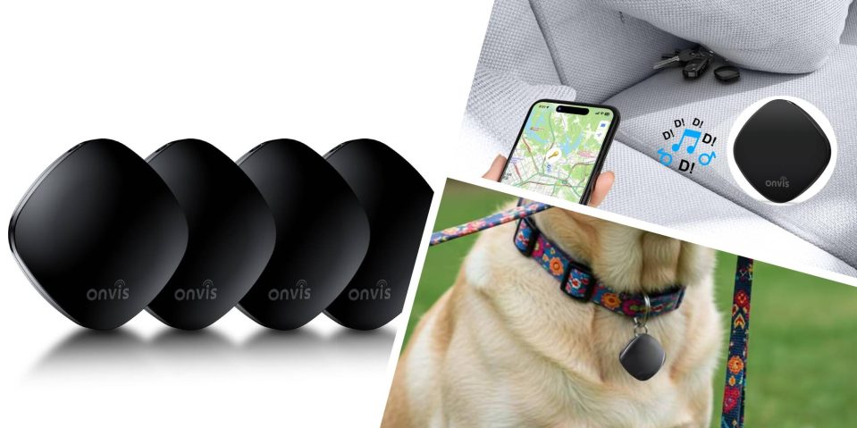 A collage of a dog and a dog's collar