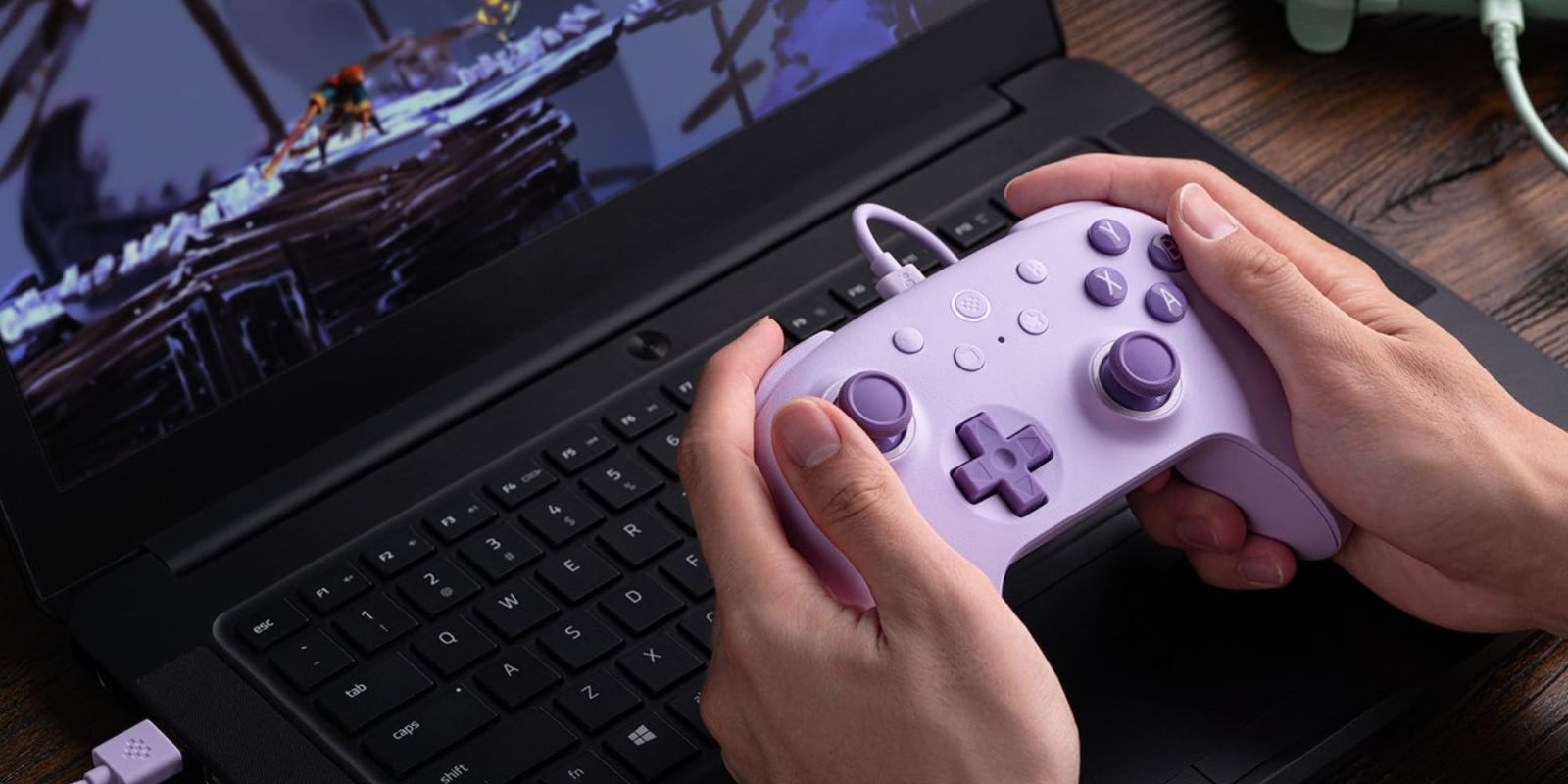 A person holding a video game controller