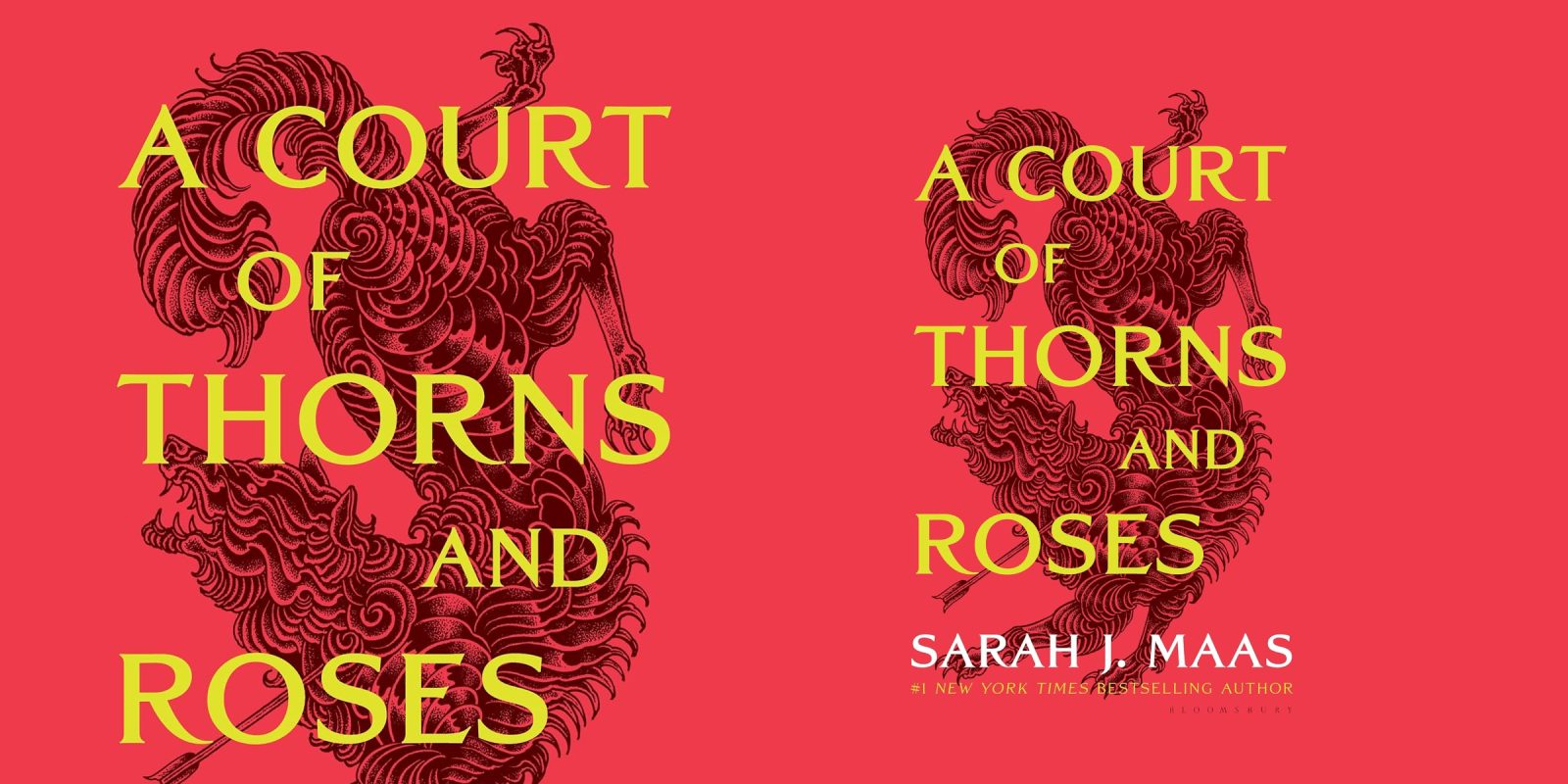 A Court of Thorns and Roses