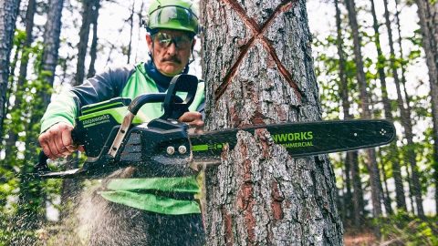 A man with a chainsaw cutting a tree