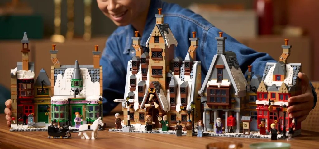 A person looking at a building set