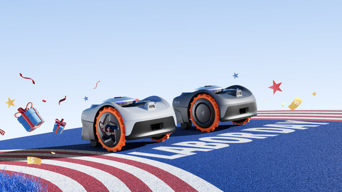 Two robots on a flag