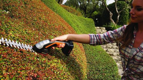 A person using a power tool to trim bushes