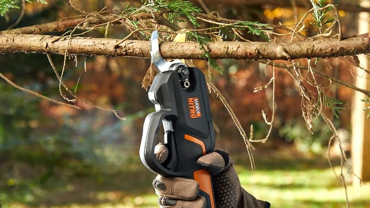 A person holding a tool to cut a branch