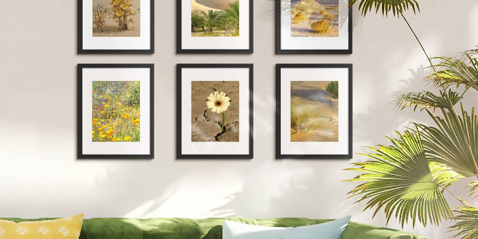 A wall with pictures of plants and flowers