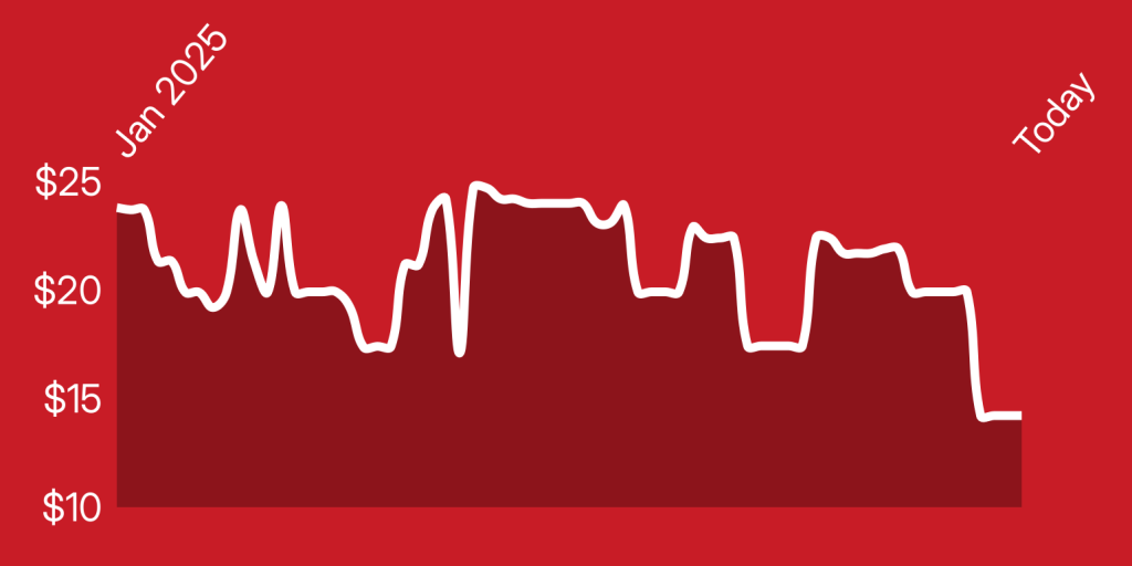 A line of a heartbeat