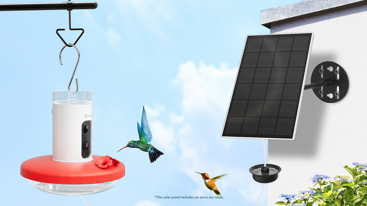 Humming hummingbirds flying next to a solar panel