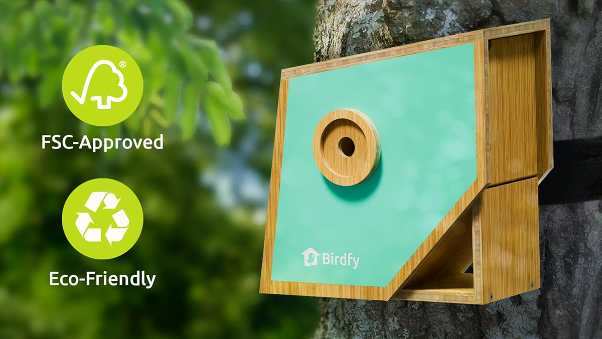 A bird feeder on a tree