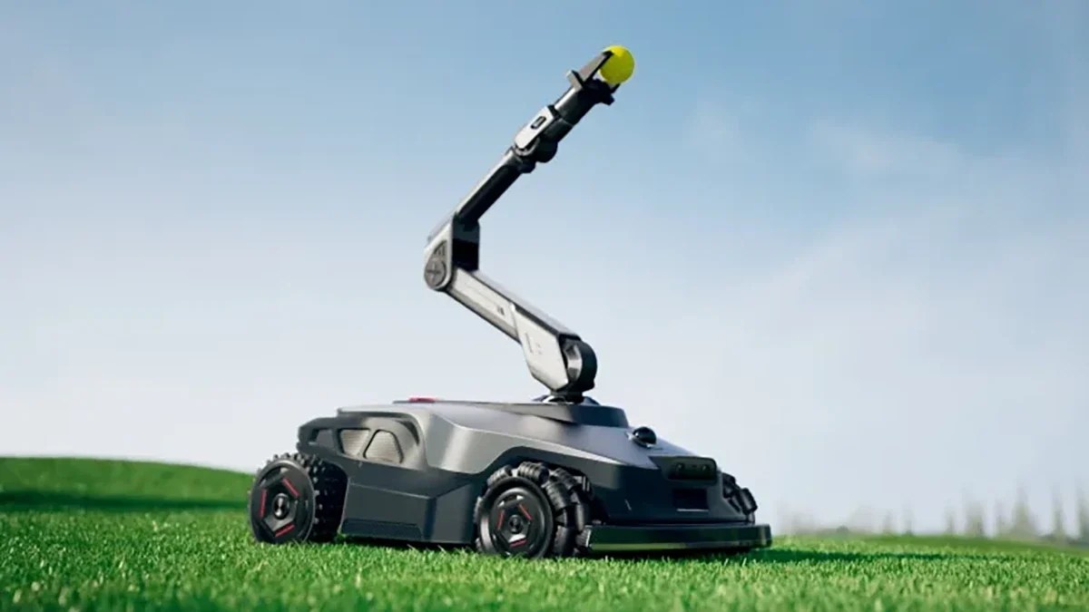 A robot on a grass field