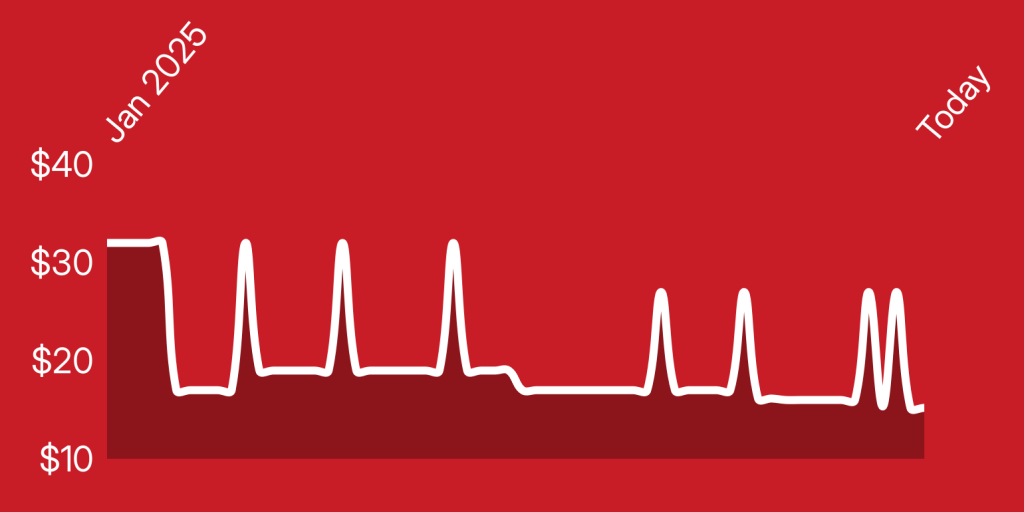 A line of a heartbeat