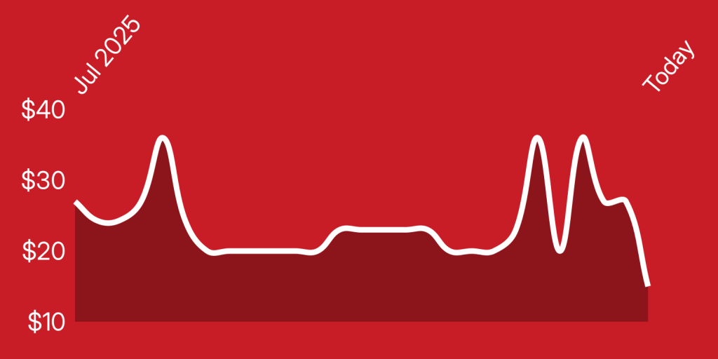 A person holding a rectangular device