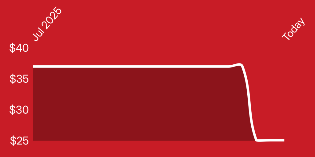 A red rectangular object with a white line