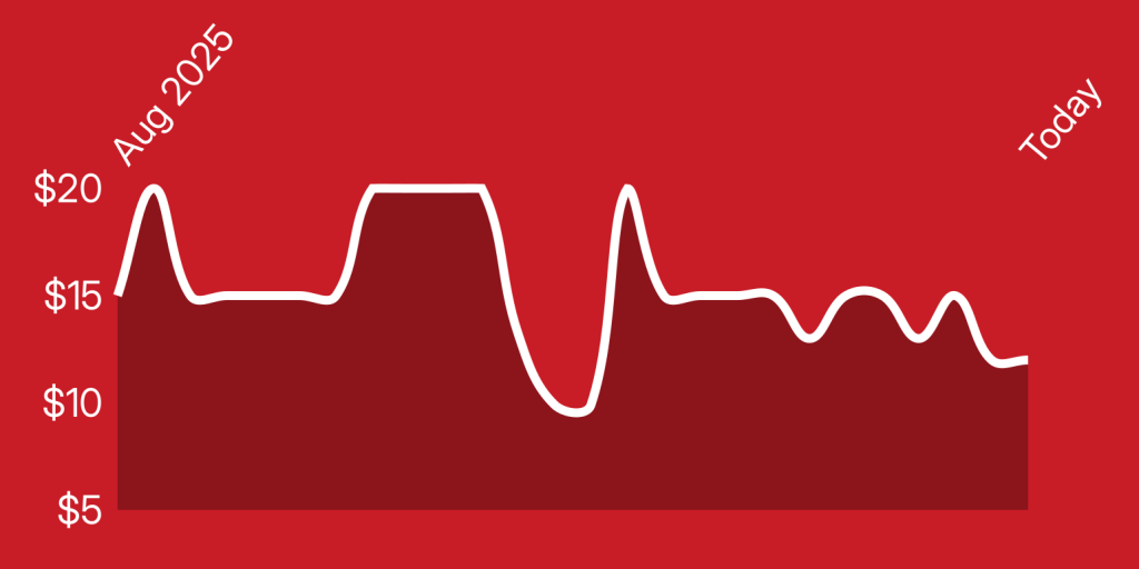 A line of a heartbeat