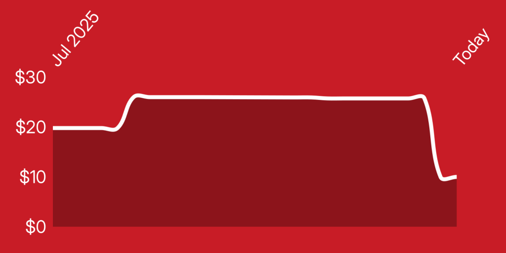 A red and white outline of a red rectangular object