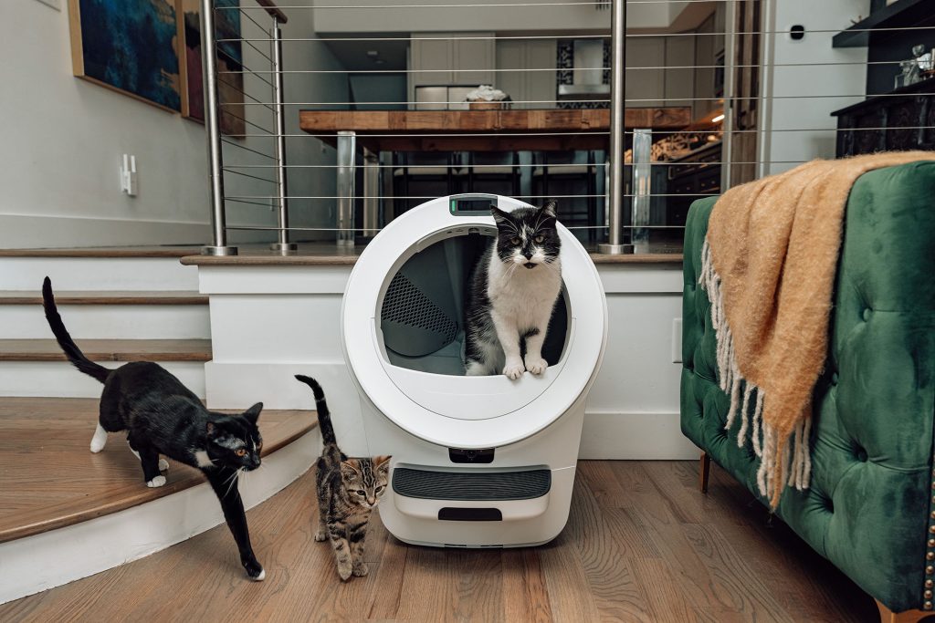 A cat standing on Whisker Litter-Robot 5 pro