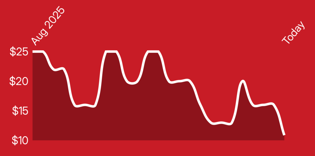 A line drawing of a mountain