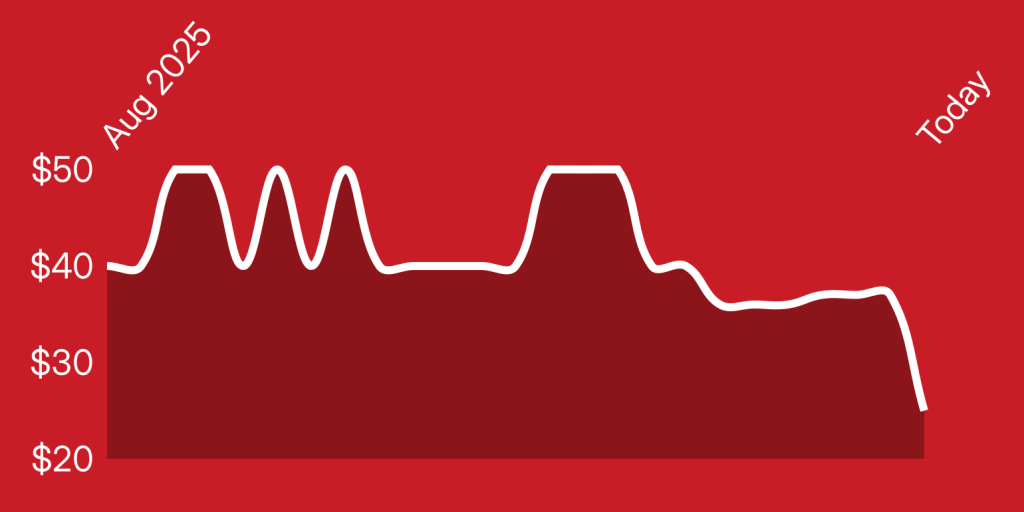 A line drawing of a mountain