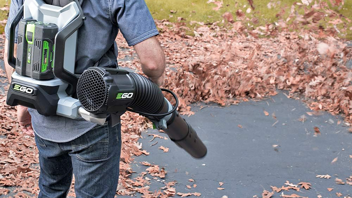 A person holding a leaf blower