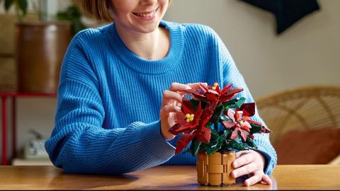 A woman holding a flower in a pot