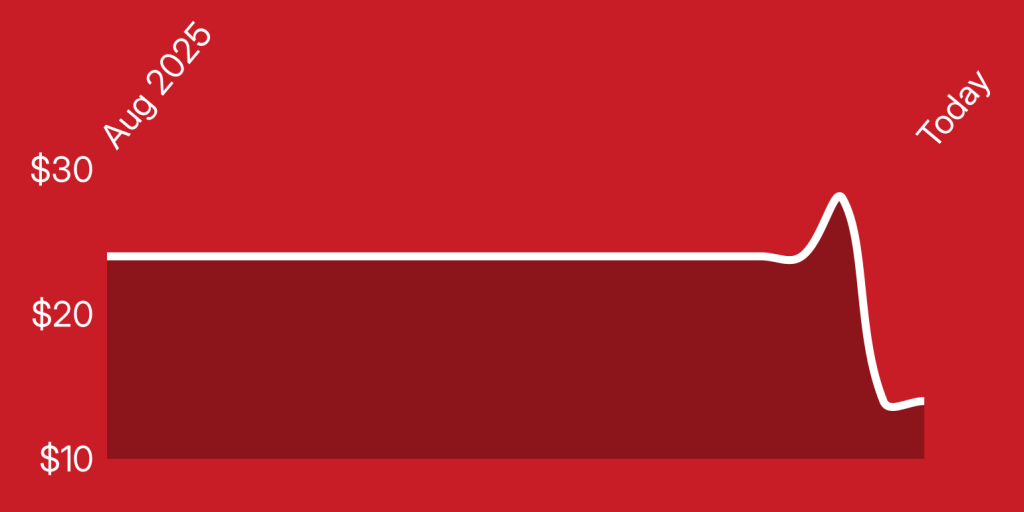 A red rectangular object with white lines