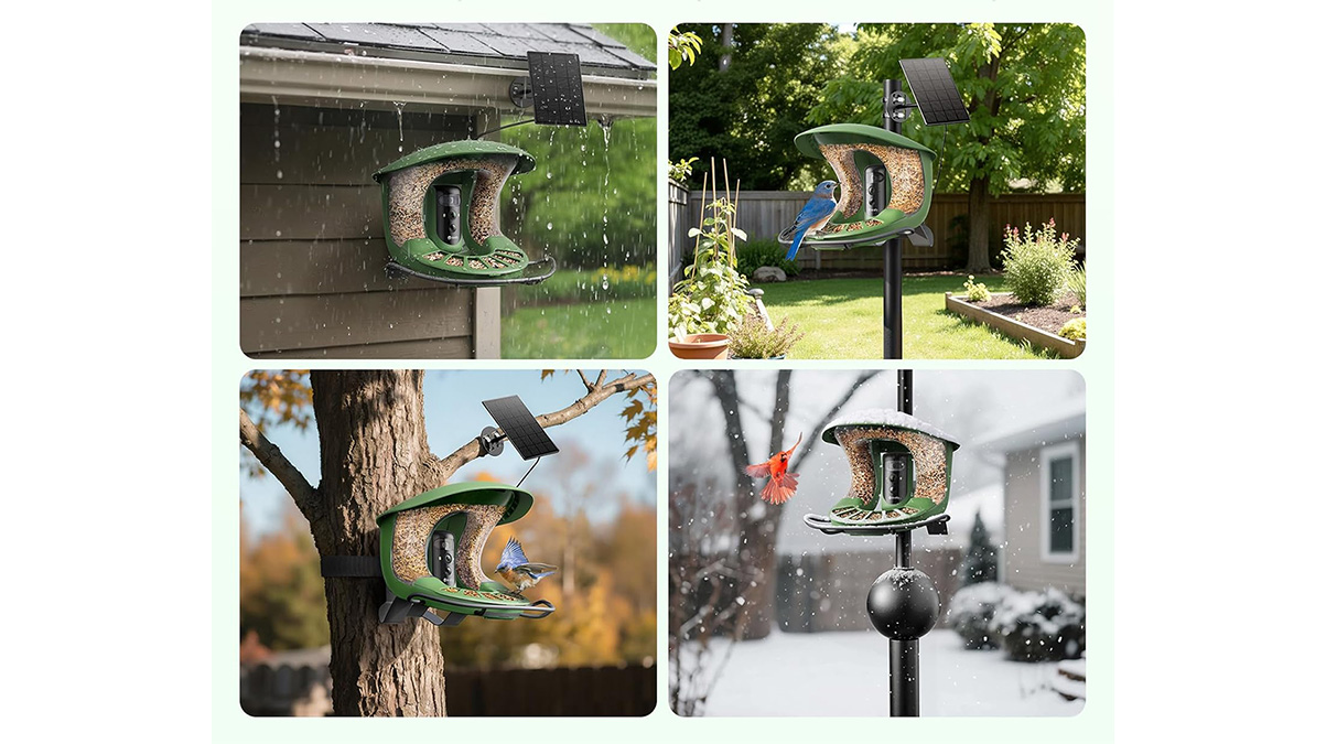 A bird feeder with a solar panel