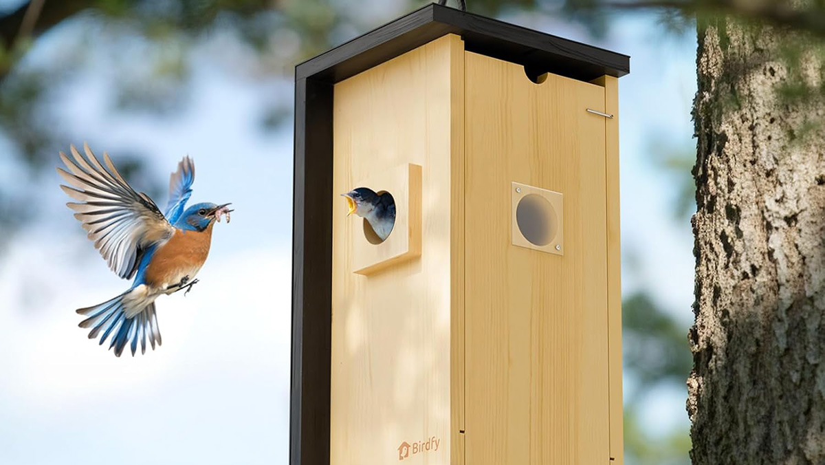 A bird flying next to a bird house