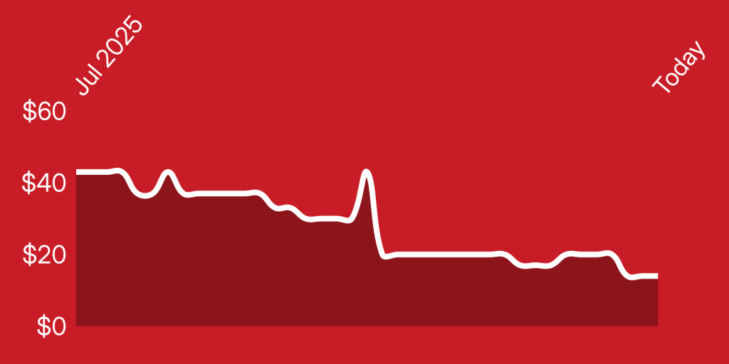 A line of a heartbeat