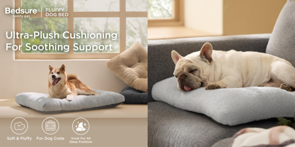 A dog lying on a couch