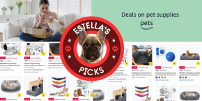 A screenshot of a dog and a person