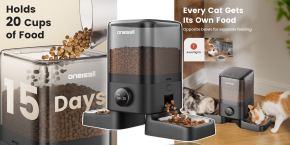 A cat in a container