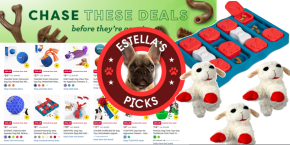 A collage of a dog and a toy