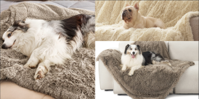 A collage of dogs lying on a couch