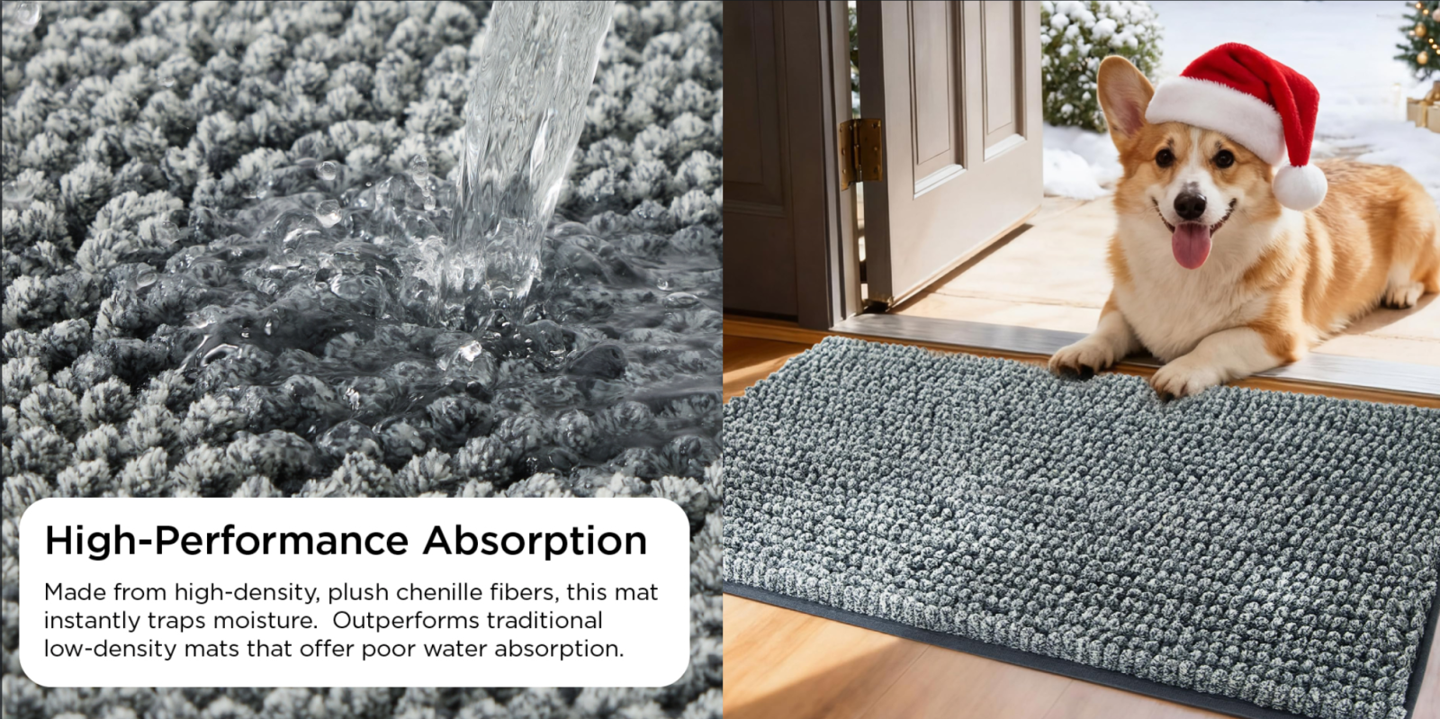 A dog standing on a rug