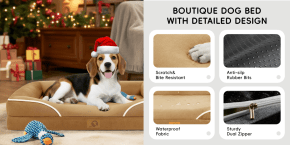 A dog wearing a santa hat