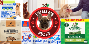 A collage of different animals