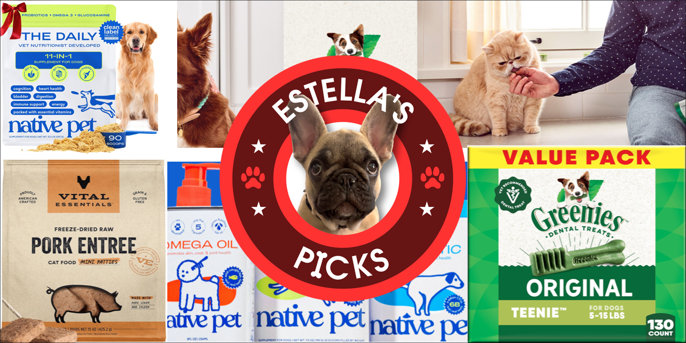 A collage of different animals