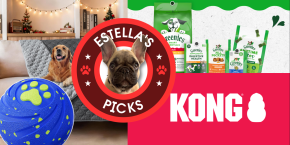 A dog with a dog's face