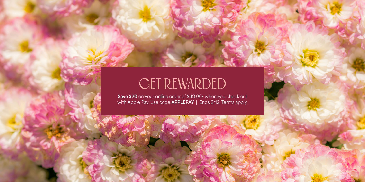 1-800-Flowers offers $20 off bouquets when using Apple Pay | Promo banner shown on top of a photo of flowers