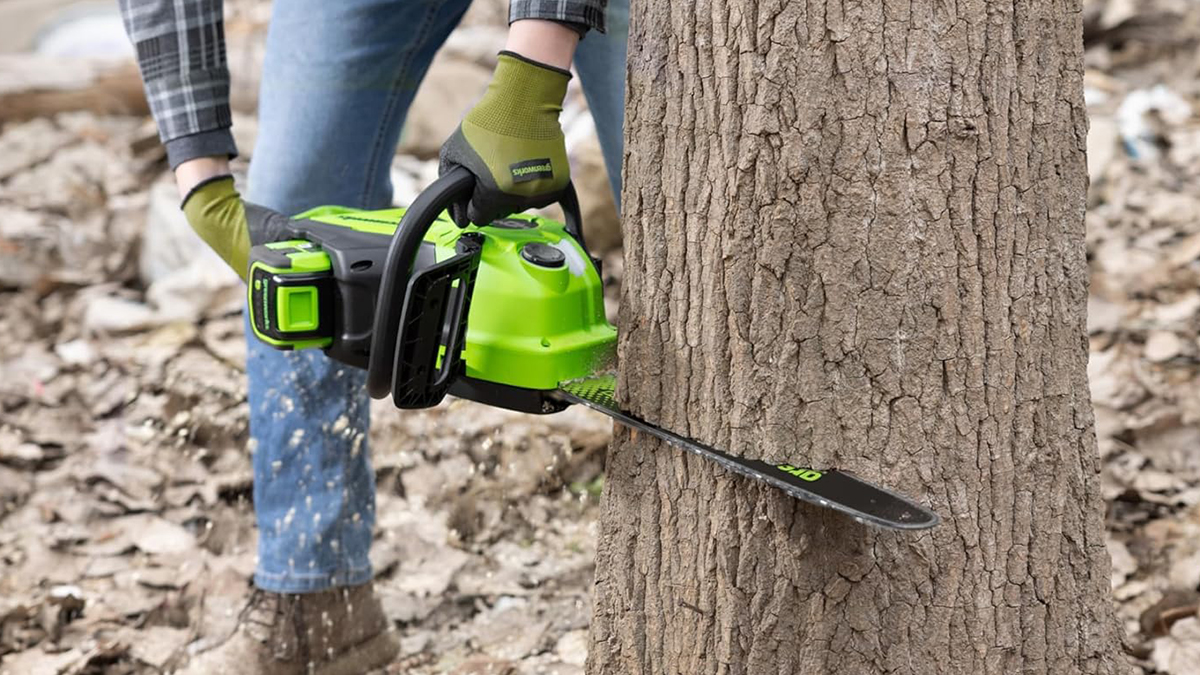 A person using a chainsaw to cut a tree