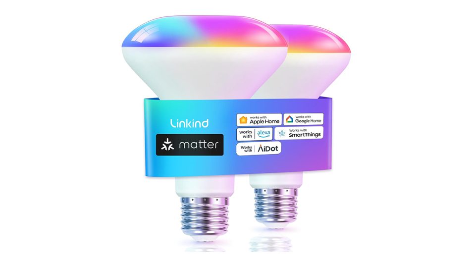 A pair of light bulbs in a blue box