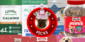 A group of dog food packages