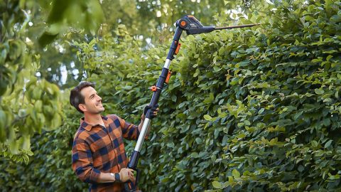 A man holding a hedge trimmer