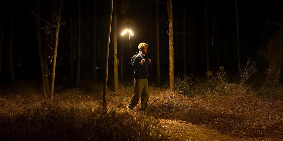 A man standing in a forest with a light