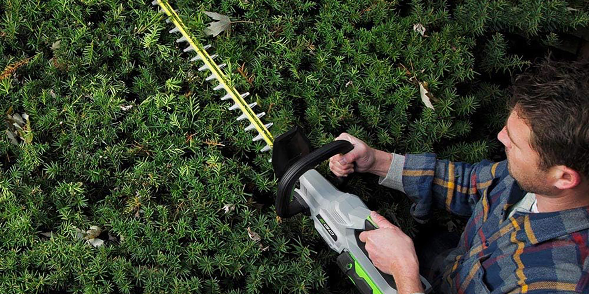 A person holding a hedge trimmer