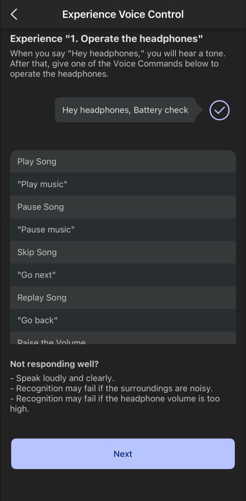 A screenshot of a music player